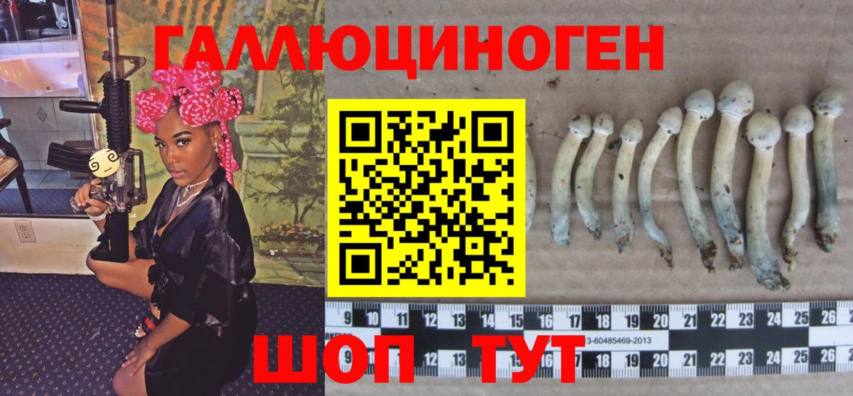 Янаул  Галлюциногенные грибы GOLDEN TEACHER  Галлюциногенные грибы Psilocybine cubensis  Вход с VPN 